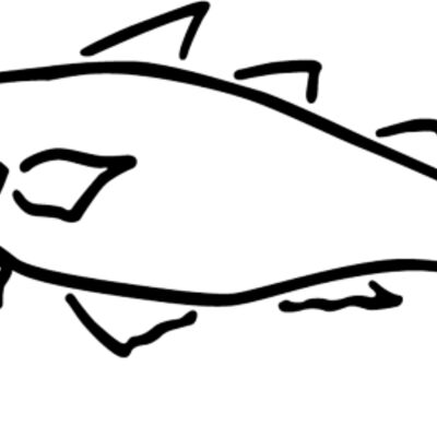 fish Thumbnail